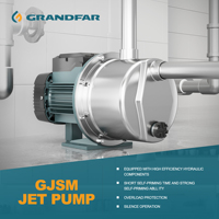 Pompe à jet agricole GRANDFAR 0.8HP 600W 3m³/h de haute qualité OEM, en acier inoxydable, électrique