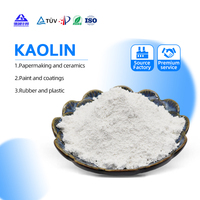 Poudre d'argile kaolin de Chine pour les industries de la céramique, du papier, de la peinture, du revêtement et du caoutchouc