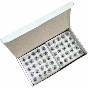 <b>Physics</b> experiment electrical light bulbs, 2.5V and 3.8V bulbs, teaching instrument manufacturer, old-fashioned flashlight - Product Image 5
