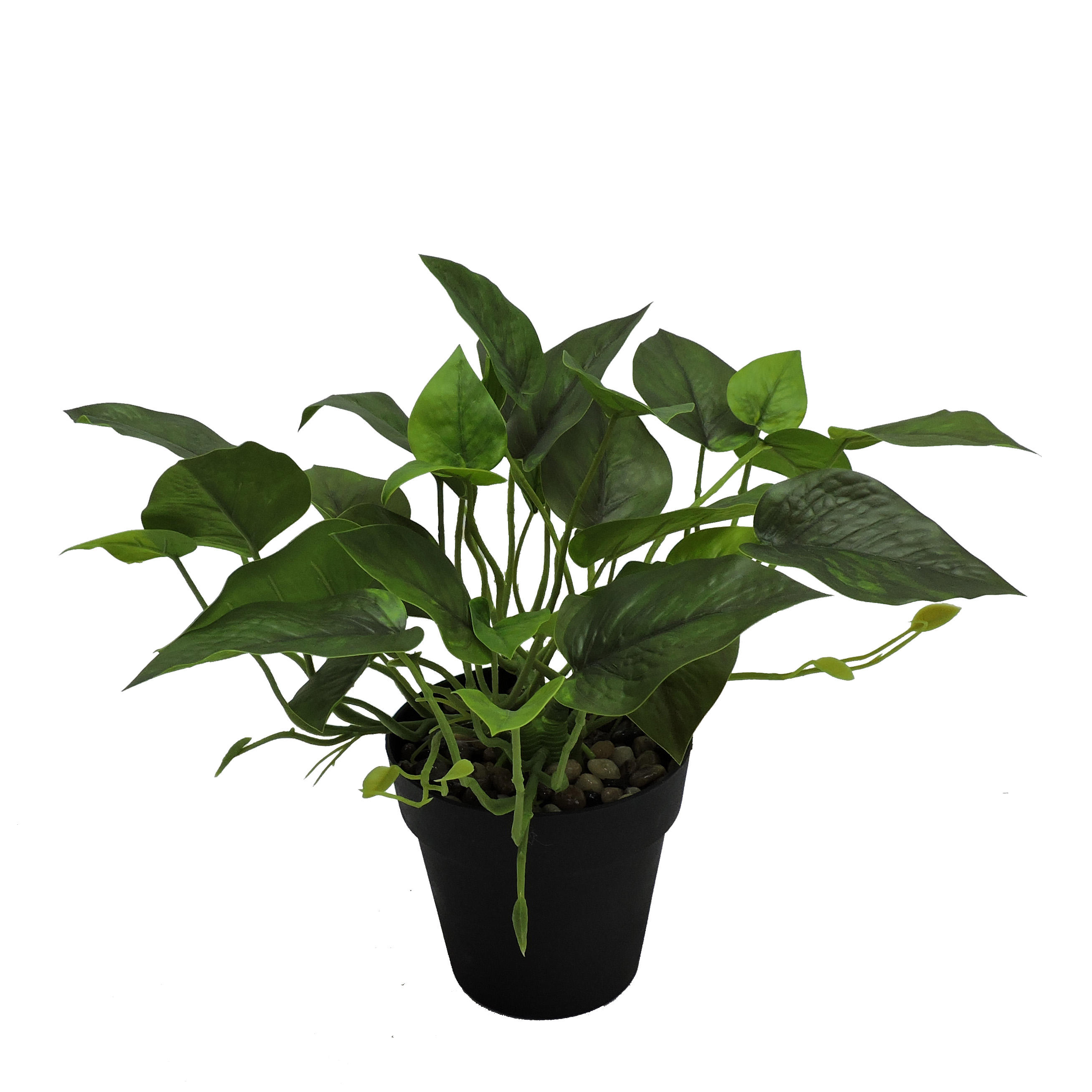 Plastic pot P240495-33