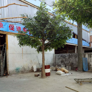 Manufacturer's Hot Selling <strong>Artificial</strong> Green Banyan Plant Giant Ficus <strong>Tree</strong> <strong>Artificial</strong> Large <strong>Trees</strong> for Indoor Outdoor Decor - Product Image 5