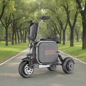 Scooter de mobilité à 3 roues pour adultes 48V 2023 avec panier pour animaux de compagnie et moteurs sans balais 500W/1000W - Product Image 2