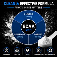 BCAA Acides aminés à chaîne ramifiée Leucine Isoleucine Valine en poudre pour la récupération musculaire des adultes Avant/après l'entraînement Végétalien Rapide