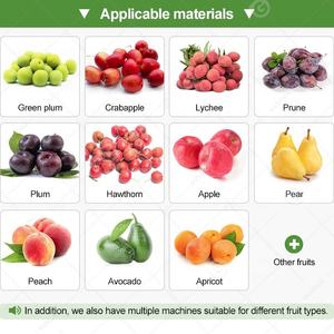 Máquina Deshuesadora <span class=keywords><strong>de</strong></span> Aceitunas en Venta, la Más Económica, para Eliminar Semillas <span class=keywords><strong>de</strong></span> Dátiles y Aguacates, Pequeña, Industrial - Product Image 6