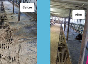 Cabine vache zone de confort lit couché matelas de bétail en caoutchouc avec <span class=keywords><strong>coussin</strong></span> en mousse - Product Image 6