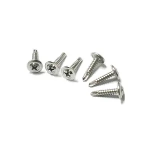 Stainless Steel/Carbon Steel Self Drilling Screw Modify Truss Head Phillip Self Drilling Screw