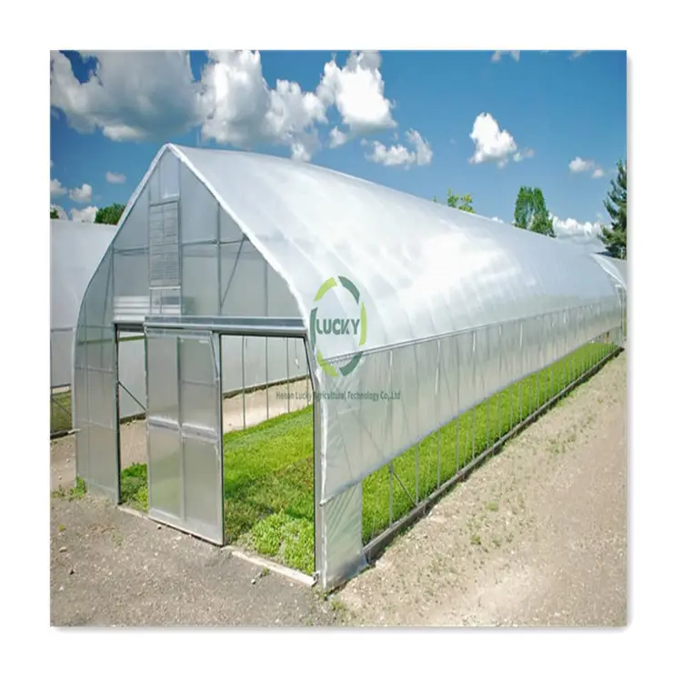 Serra di alluminio delle pellicole protettive del ventilatore di ventilazione del giardino con il sistema di coltivazione del pomodoro grande