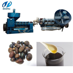 Máquina de procesamiento de aceite de palmiste a pequeña escala — Prensa extractora de semillas y nueces de palmiste — Ghana y C - Product Image 4