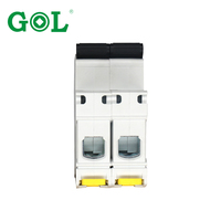 Interruptor Automático Miniatura (MCB) Monofásico/Bifásico de 220V CA 40A con Capacidad de Ruptura de 10KA