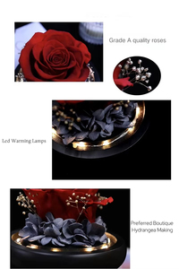 Rosa Eterna Preservata con Luce LED, Decorazione Romantica a Cupola di Vetro con Cuore, Regalo con Nastro per <span class=keywords><strong>Lei</strong></span> - Product Image 6