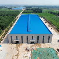 Taller de Estructura de Acero para Fábrica de Producción Textil y de Prendas de Vestir con Guía de Instalación y Soporte de Diseño