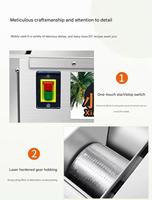 Machine électrique de traitement de la noix de coco en acier inoxydable, déchiqueteuse de noix de coco commerciale pour la cuisine des restaurants