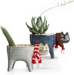 Maceta coleccionable <span class=keywords><strong>con</strong></span> drenaje para <span class=keywords><strong>suculentas</strong></span>, maceta de jardín de cerámica para gatos, maceta de Cactus - Product Image 1