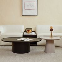 Ensemble de table basse ovale Table basse minimaliste moderne pour petit salon buffet armoire Designer Table basse ovale créative