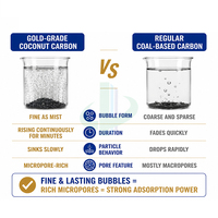 Charbon actif granulaire de coque de noix de coco de haute qualité, pureté 99 %, fourni par l'usine, pour l'extraction et la récupération de l'or
