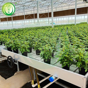 Serres agricoles personnalisées en gros, tables de semis mobiles galvanisées à <span class=keywords><strong>marée</strong></span> - Product Image 5