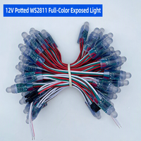 Lampu Pixel LED Resin Tahan Air 12mm WS2811 Addressable RGB 5V 12V Warna Penuh Terbuka untuk Papan Reklame