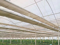 Serre agricole multi-chapelles à double couche, grande taille, à faible coût, en stock, pour projets clés en main d'hydroponie de tomates, en acier et film.
