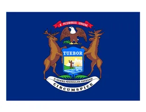 Kualitas Superior Bendera Nilon Michigan Bendera Negara Normal Bendera 3X5 Kaki untuk Penjualan