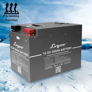 US EU In stock 12V 260Ah 300ah Lithium Iron Phosphate heater lifepo4 Battery Pack heating battery