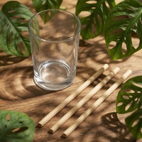 Pailles en bambou biodégradables de haute qualité, écologiques, jetables, service 24h/24 pour pique-nique ou barbecue