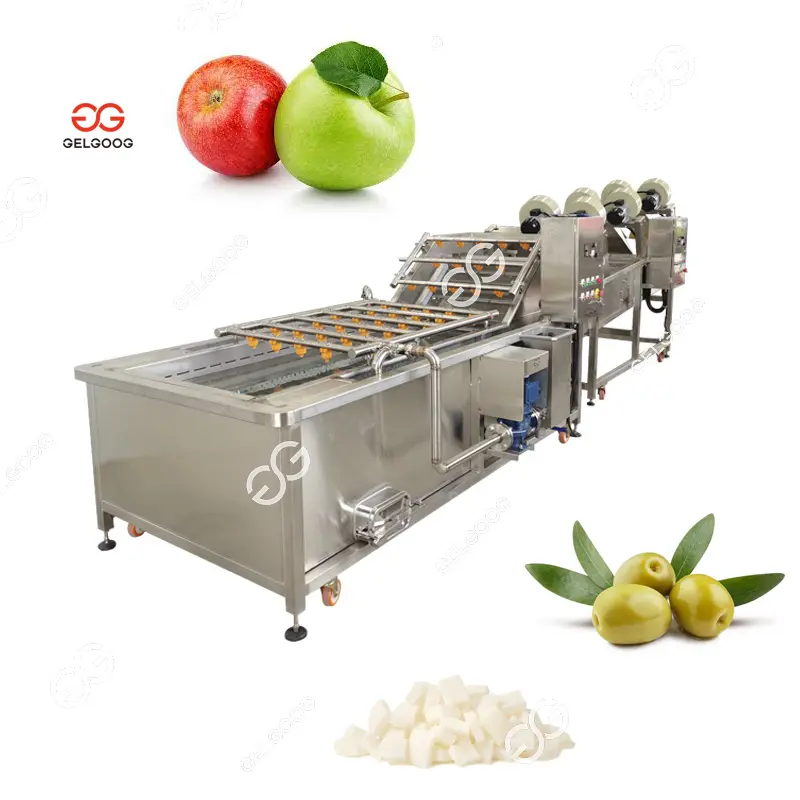 Gelgoog Traitement des fruits Ensemble complet de lavage de la noix de coco Machine à laver les fruits de noix de coco pour laver les olives