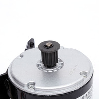 Moteur de véhicule électrique chinois Antelope Little Dolphin 24V300W IE1, efficacité synchrone, poulie de roue, brosse, vélo électrique