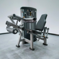 Machines de sélection de charge de goupille de forme physique de gymnase de prix usine équipement de gymnastique d'extension de jambe pour la musculation