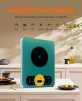 Kompor Induksi Profesional Satu Tungku untuk Meja Dapur, Kontrol Sentuh, 8 Fungsi Cerdas untuk Penggunaan Koki, Hotpot Rumah Tangga