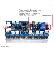 Module amplificateur mono canal haute puissance 1000W, carte d'amplification professionnelle pour scène avec tubes 5200 1943 pour amplificateurs audio DIY