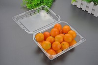 Boîte d'emballage en plastique 200/250/500g Emballage en coquille pour myrtilles, cerises, tomates, fraises, fruits frais