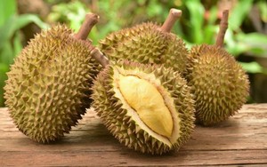 MEILLEURE MARQUE DURIAN CONGELÉE // DOUCE et GOÛT CONGELÉ DURIAN MONTHONG // Shyn Tran - Product Image 2