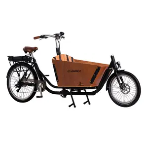 China Factory Dutch Family Cargo Bike 26 Inch Front Two Seats 2 Wheel Electric Bicycle for Family