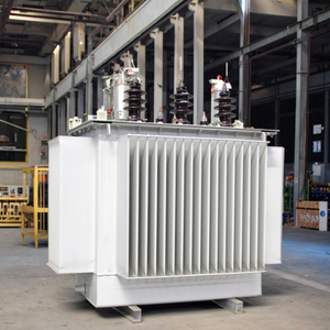 Transformateur de distribution triphasé immergé dans l'huile Longjian S11-300KVA 300 kVA 10 kV-35 kV, directement du fabricant avec 35 ans d'expérience - Product Image 2