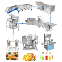 Ligne complète de production de jus naturel Ligne de production de jus de fruits Machine de traitement de jus de fruits