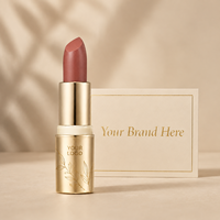 Rouge à lèvres personnalisé en marque blanche OEM ODM, maquillage pour les lèvres, rouge à lèvres mat, texture crémeuse, coffret cadeau de maquillage, couleur personnalisée, vente en gros