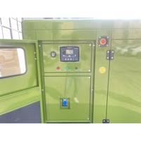 Générateurs alternatifs portables Citylion pour la maison 100 KVA 100KVA 80KW 80 KW Générateur diesel silencieux