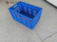 Caisses de stockage et de logistique pour fruits et légumes LYPALLETS, caisses à légumes de qualité alimentaire, caisses en plastique pliables/paniers