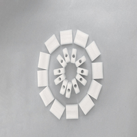 Fabricant professionnel d'embouts de filtre d'atomiseur de bâtons de roseau naturels en polyester avec anches en fibre durable pour l'air frais