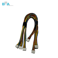 PH 2.0mm 10Pin Double Row Male to Male Harness 250mm UL1007 28AWG Berkode Warna Dengan Pita Asetat untuk Kontrol Industri