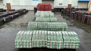 سبائك القصدير النقي 99.994% عالية النقاء لاستخدامات تصنيع البطاريات 25 كجم بسعر رخيص - Product Image 4