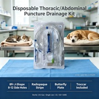 Kit de thoracocentèse féline stérilisé à l'oxyde d'éthylène (EO) OEM