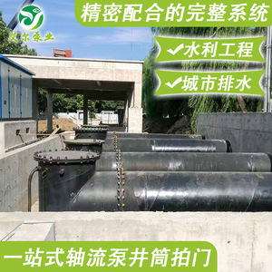 Station de pompage d'eau de pluie avec réservoir, hauteur d'entrée 1000 mm, moteur électrique triphasé 3 CV, raccord à bride pour travaux hydrauliques - Product Image 2