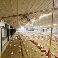 Nouvelle rideau de poulailler avec cadre pour l'apiculture, garantie 1 an, matériau PVC/PE