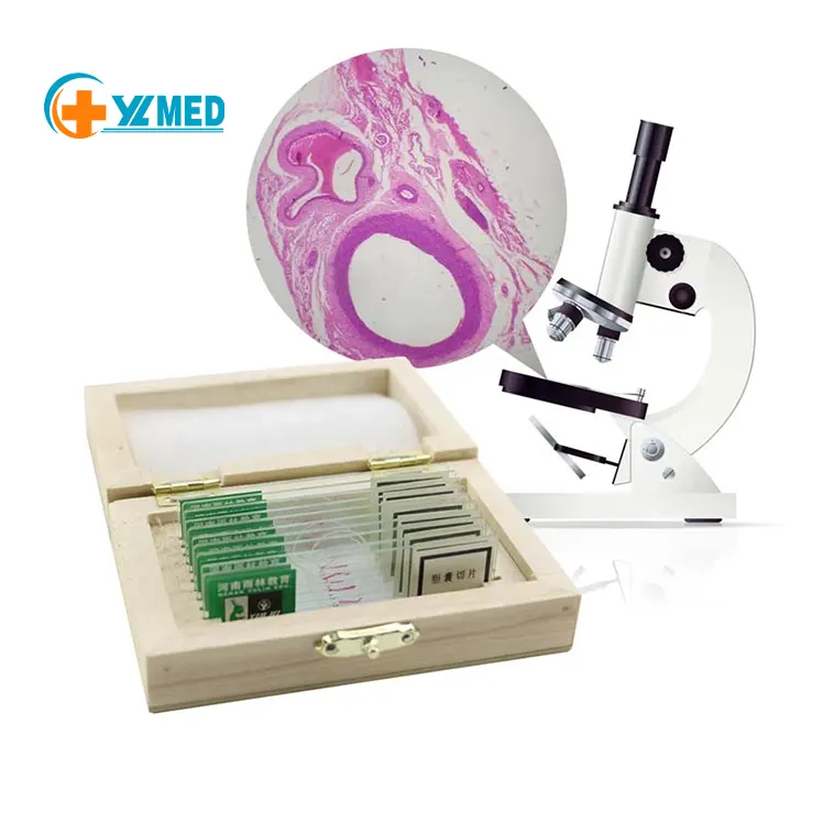 medical science Hot sale medical science teaching used biology prepared microscopic slides with best price