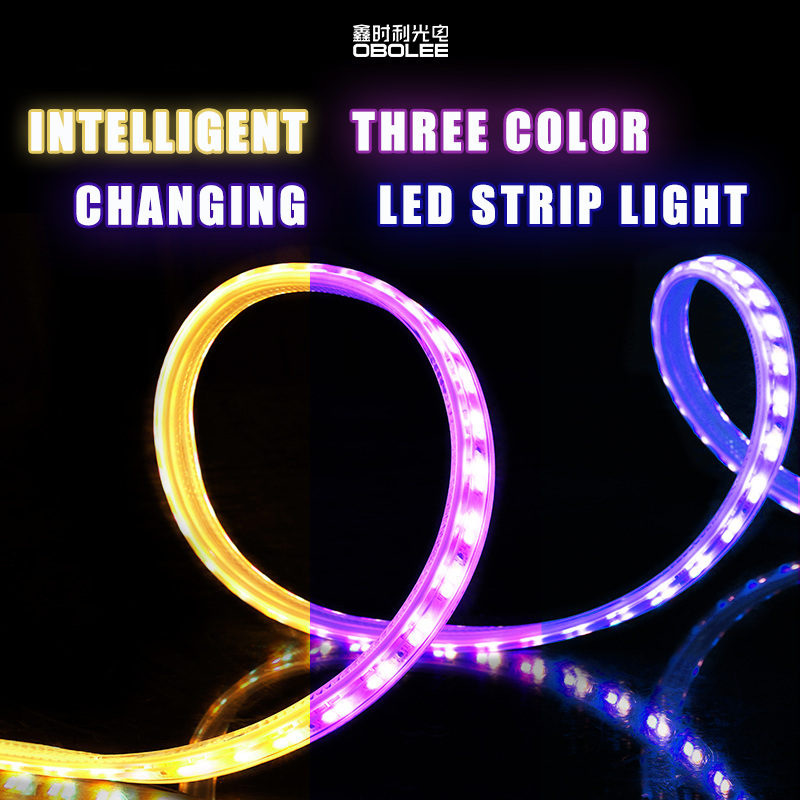 3-Color LED Strip (Warm White & Blue)