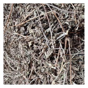 ผงเจลลี่จากหญ้าสำหรับผู้ใหญ่ใช้บรรจุเครื่องดื่มจากเวียดนามโดยตรงมีรสชาติหวานแห้ง - Product Image 1