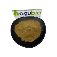 Extrait de bergamote menthe de haute qualité fourni par l'usine, 10:1, poudre d'extrait de bergamote pure et naturelle