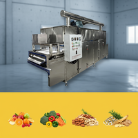 Machine automatique de séchage à bande de circulation d'air chaud Jujube Wolfberry Raisin Pruneaux Abricot Équipement de séchage