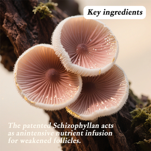 Champú Herbal <span class=keywords><strong>para</strong></span> el Crecimiento <span class=keywords><strong>del</strong></span> <span class=keywords><strong>Cabello</strong></span> BEAVER, Engrosa, Activa los Folículos, Cuidado <span class=keywords><strong>del</strong></span> Cuero Cabelludo, Vegano, Botánico, Natural, Set <span class=keywords><strong>para</strong></span> el Recrecimiento <span class=keywords><strong>del</strong></span> <span class=keywords><strong>Cabello</strong></span> - Product Image 4